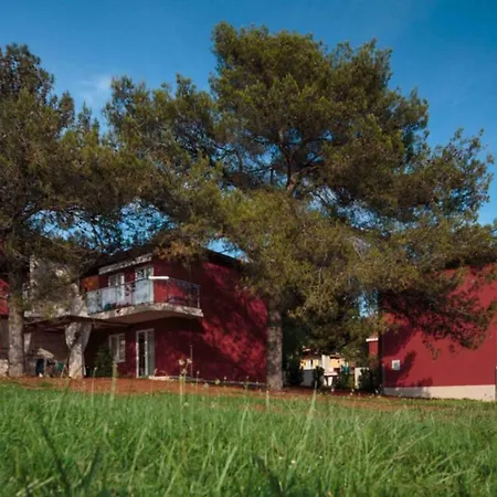 In - Istrien 12032 * אומאג